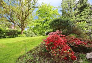 Photo 2- click for photo gallery